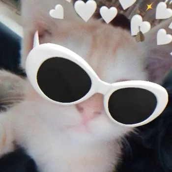 cariwp