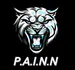 PAINN919