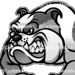 CachorroMordido