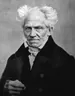 scchopenhauer