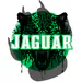 Jaguar0O