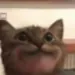 HaleOfGrim1