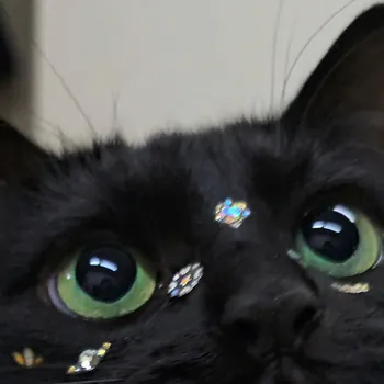 demonieca