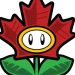 mitchflowerpower