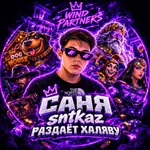 sntkaz's avatar