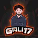 GaliTK17
