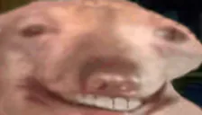 unlmtd