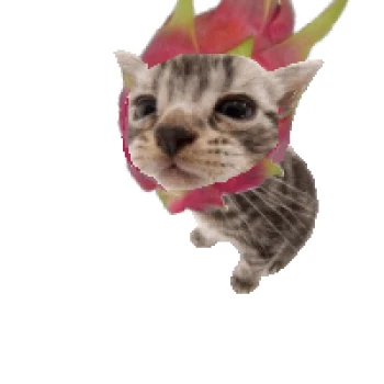 NotADragonfruit's avatar