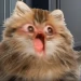 javiZomby Profile Picture