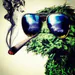 Scooner420