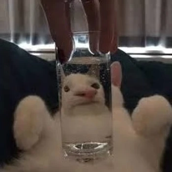 MirrorShirt