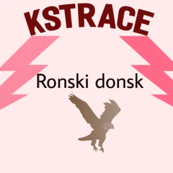 Kick profile picture for @rons