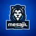 MesajilGamer