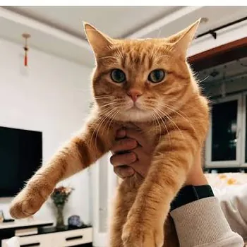 Garylexxx