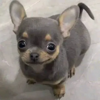 Yisusxd456