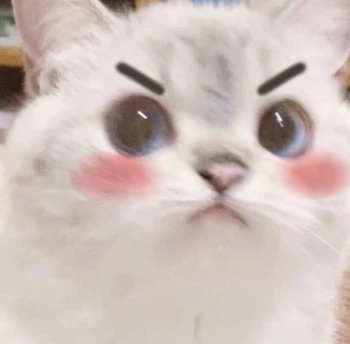 VideLu