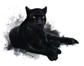 luki_puma