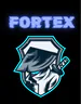 FORTEXD