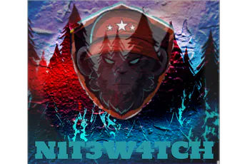 N1T3W4TCH