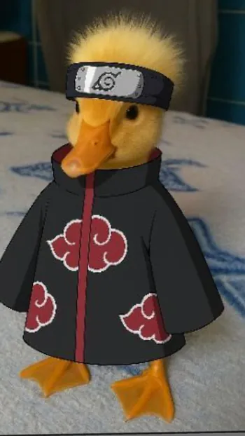 banan12315ji