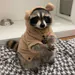 rencoons