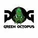 GreenOctopus
