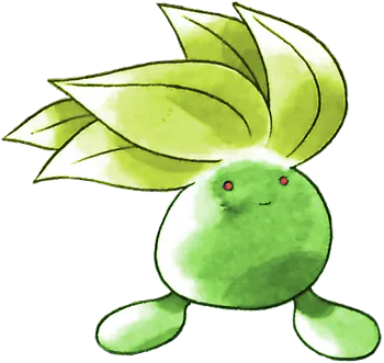 munki1c