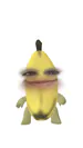 Krisvaa