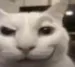 Aboodrisk