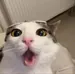 chyzew