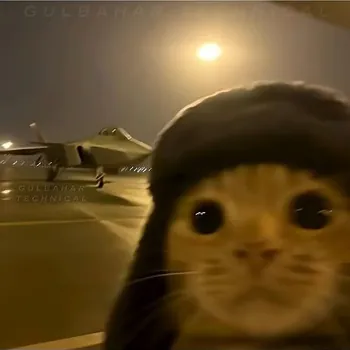 szyszkaaa33