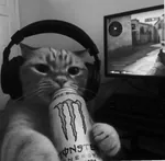 targetxyzz