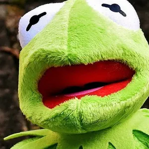 hxcfrog090
