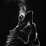 alonewolf47