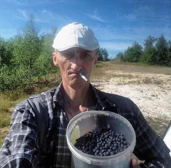niXus_333