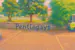 PentlaGays