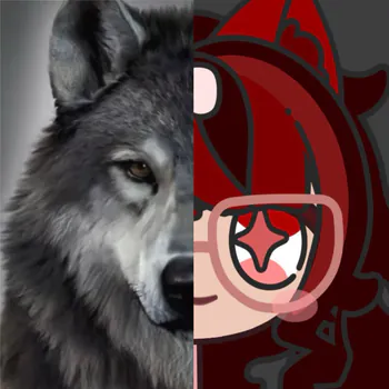 ashefifi