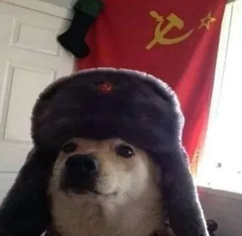 Cr4zydog
