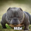 Fossegrimen