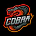 Ykcobra
