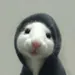 HaxD1