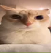 Krisu_q