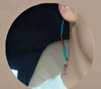 Bransua