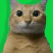 SG_gamerGOAT