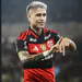 Luizaraujo07