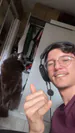 Sputzinho