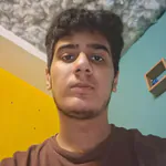 AmirMohammadHosseini