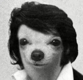 zRykard