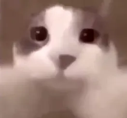Tramwajj