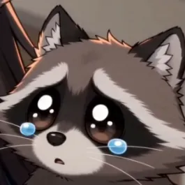 ZoniRaccoon